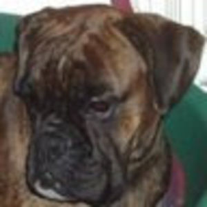 Meet your Posher, Longo